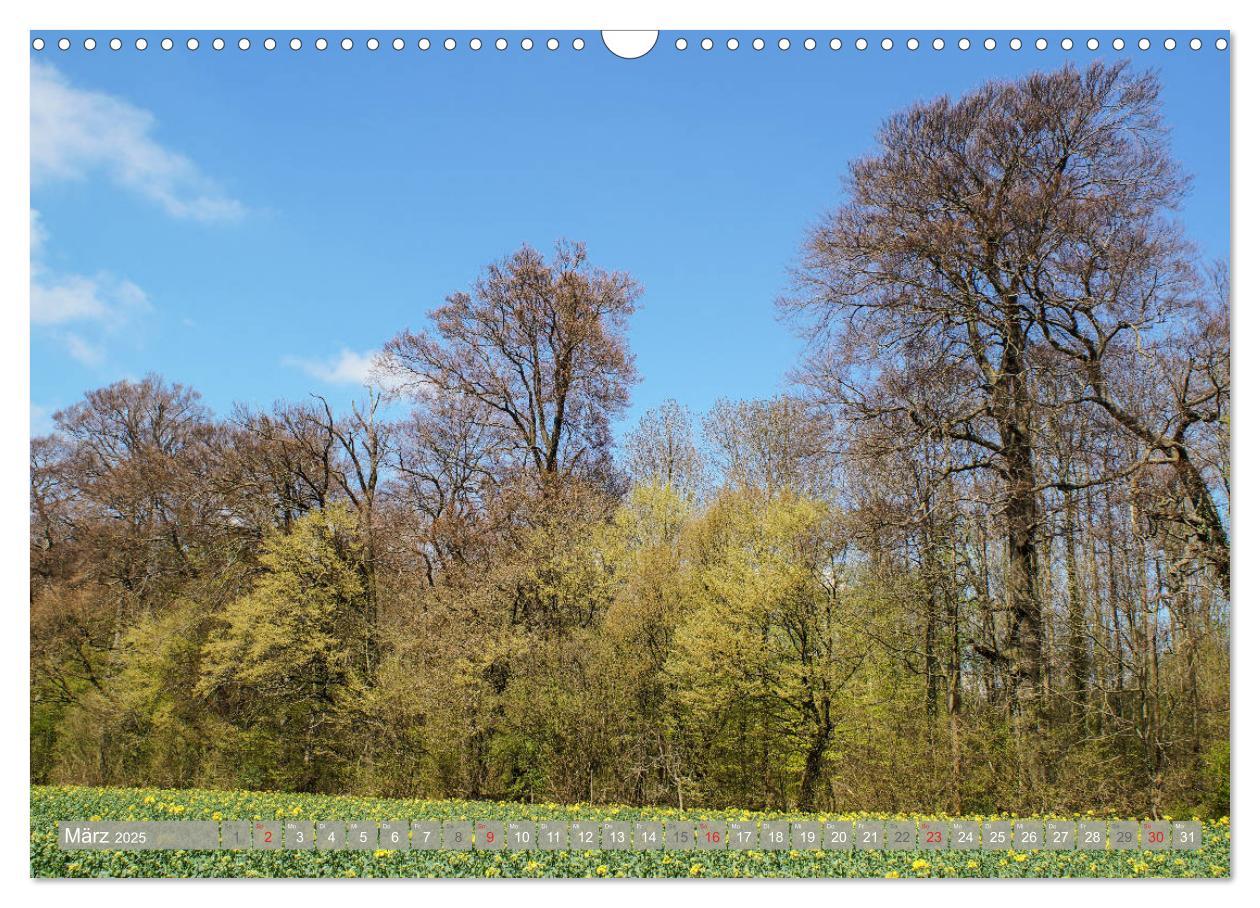 Bild: 9783435315277 | Münsterland - Vielfältige Schönheit (Wandkalender 2025 DIN A3...