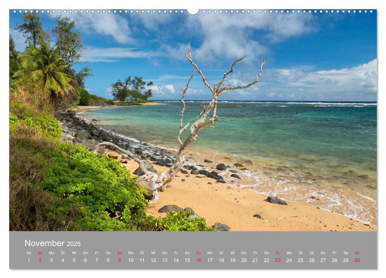 Bild: 9783435202485 | SPIRIT OF HAWAII (Wandkalender 2025 DIN A2 quer), CALVENDO...