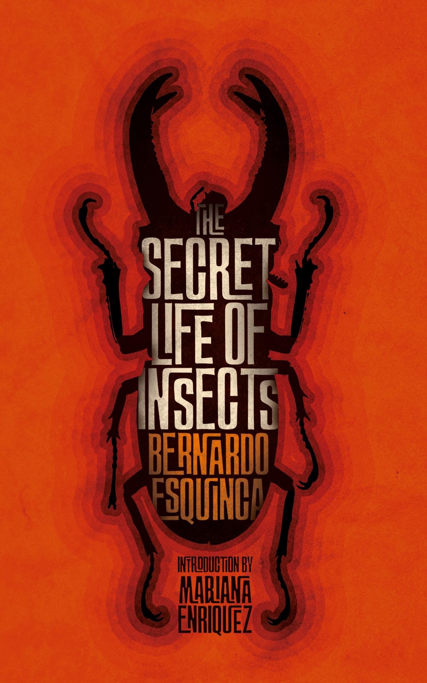 Cover: 9781954321960 | The Secret Life of Insects and Other Stories | Bernardo Esquinca