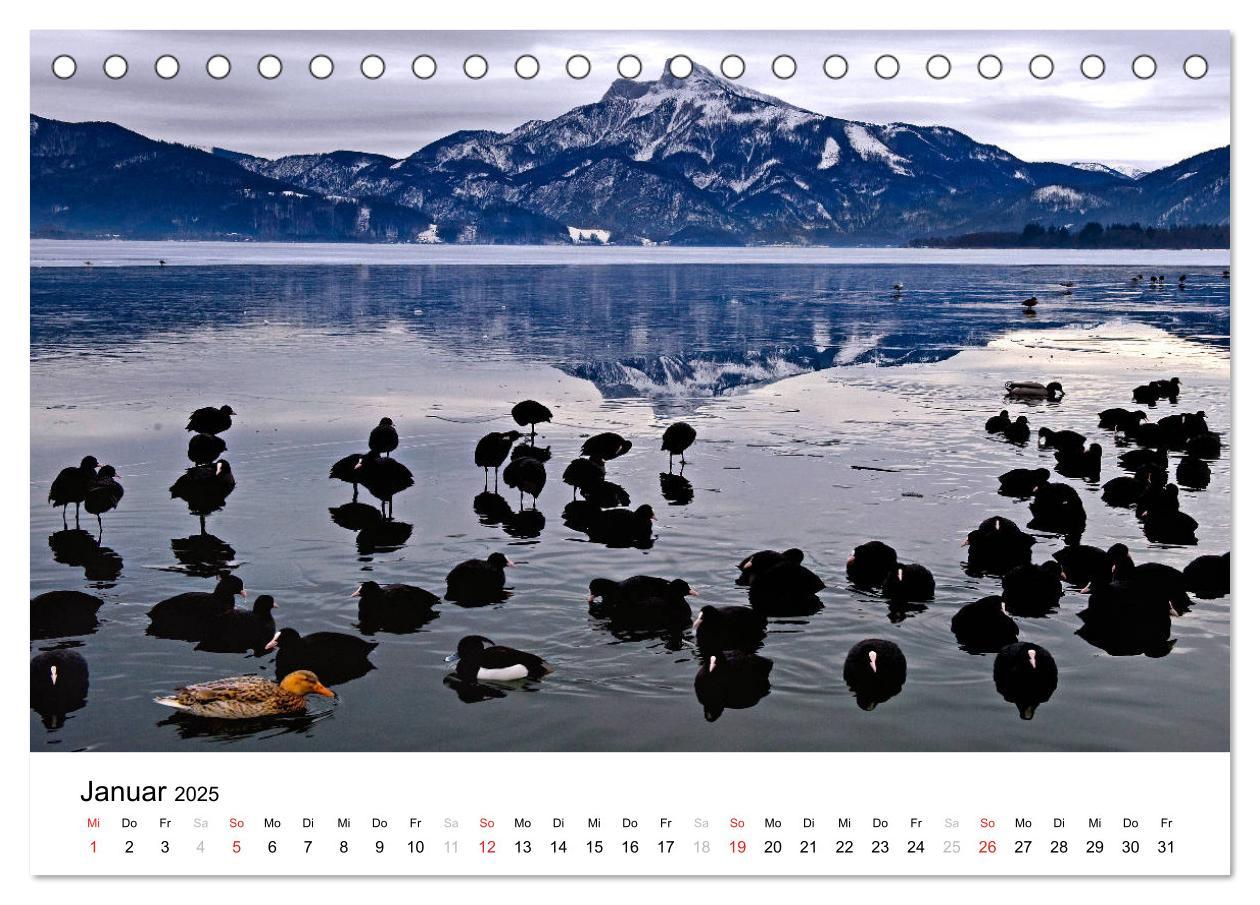 Bild: 9783435307661 | Zauberhaftes Mondseeland (Tischkalender 2025 DIN A5 quer), CALVENDO...