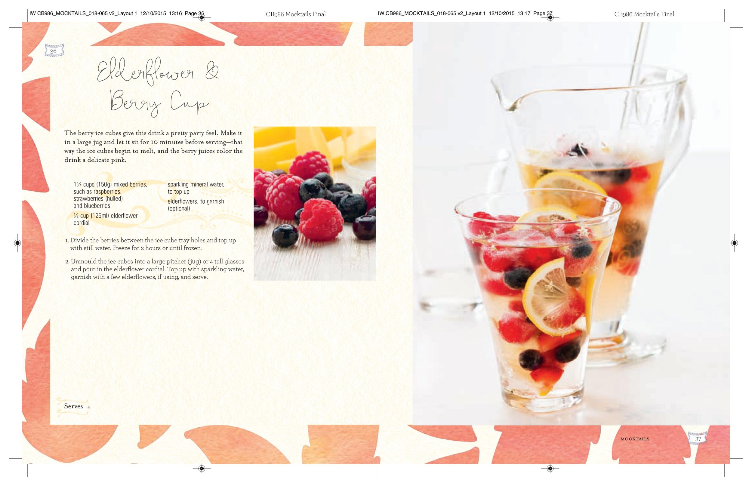 Bild: 9781788795074 | Mocktails, Cordials, Syrups, Infusions and More | Small | Buch | 2023