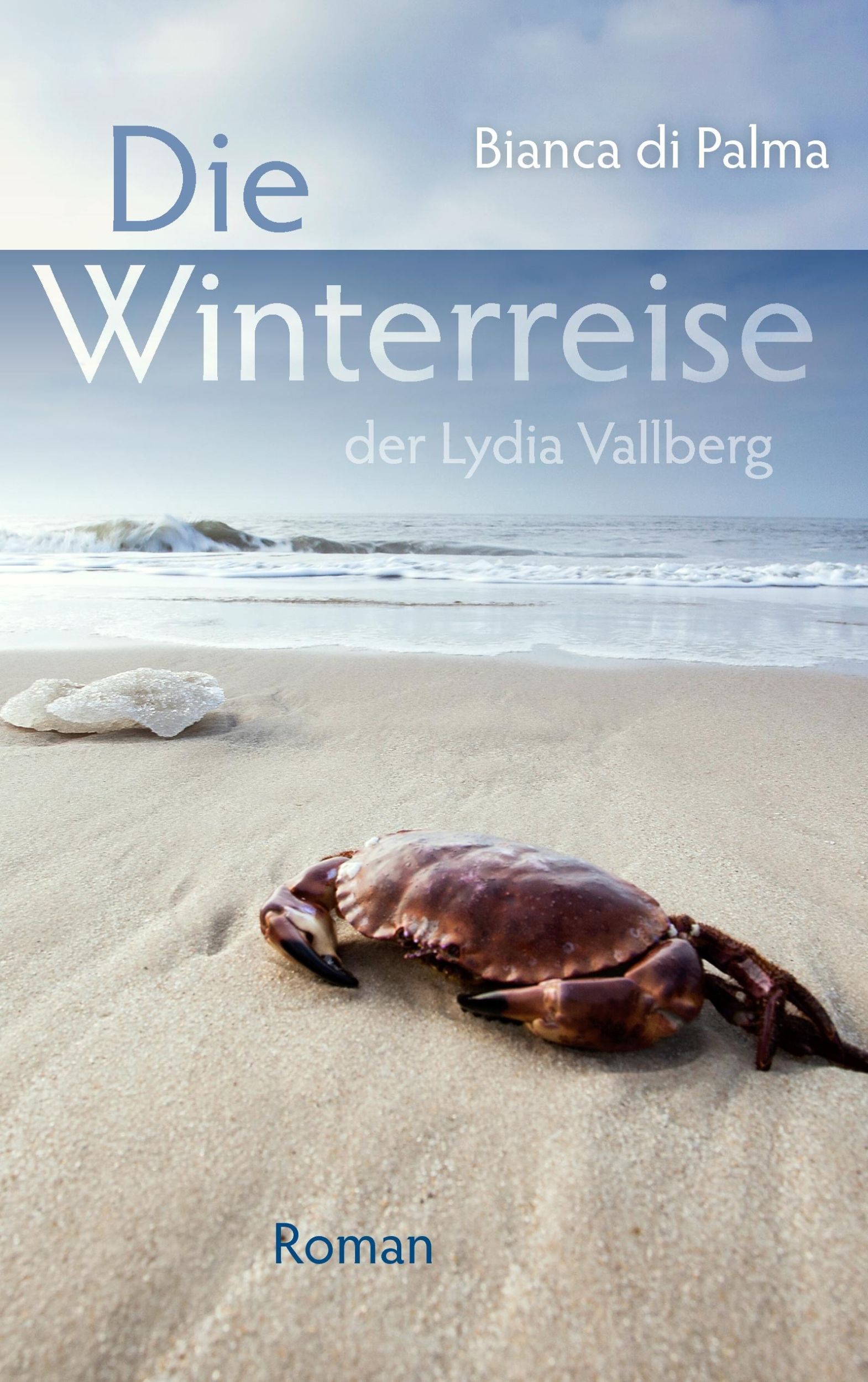 Cover: 9783844861716 | Die Winterreise der Lydia Vallberg | Roman | Bianca Di Palma | Buch