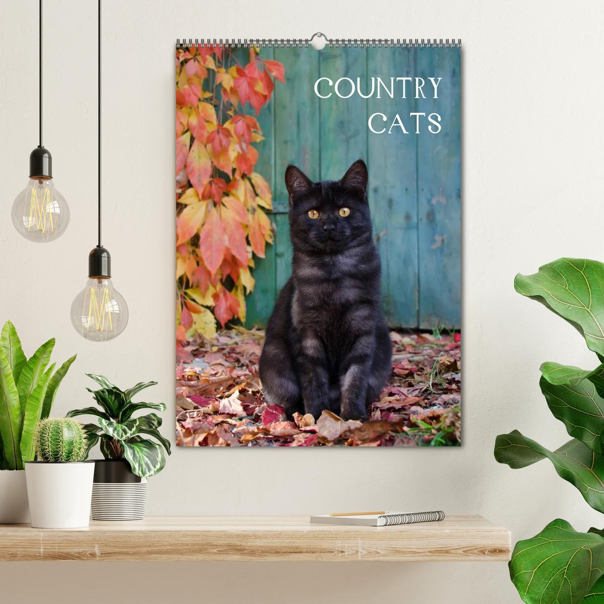 Bild: 9783457085950 | COUNTRY CATS (Wandkalender 2025 DIN A2 hoch), CALVENDO Monatskalender