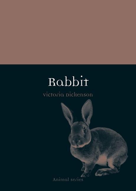 Cover: 9781780231815 | Rabbit | Victoria Dickenson | Taschenbuch | Kartoniert / Broschiert