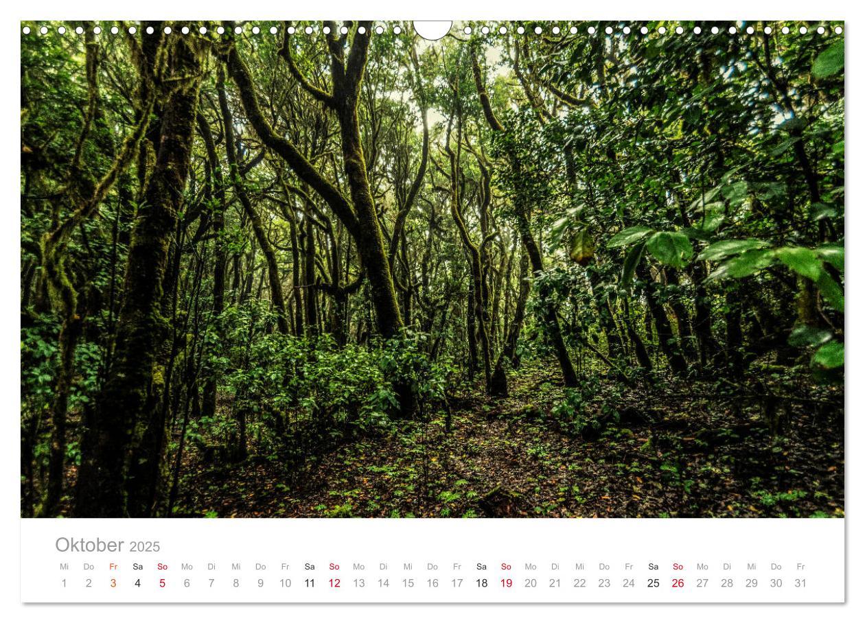 Bild: 9783435256037 | La Gomera ¿ Die grüne Perle der Kanaren. (Wandkalender 2025 DIN A3...