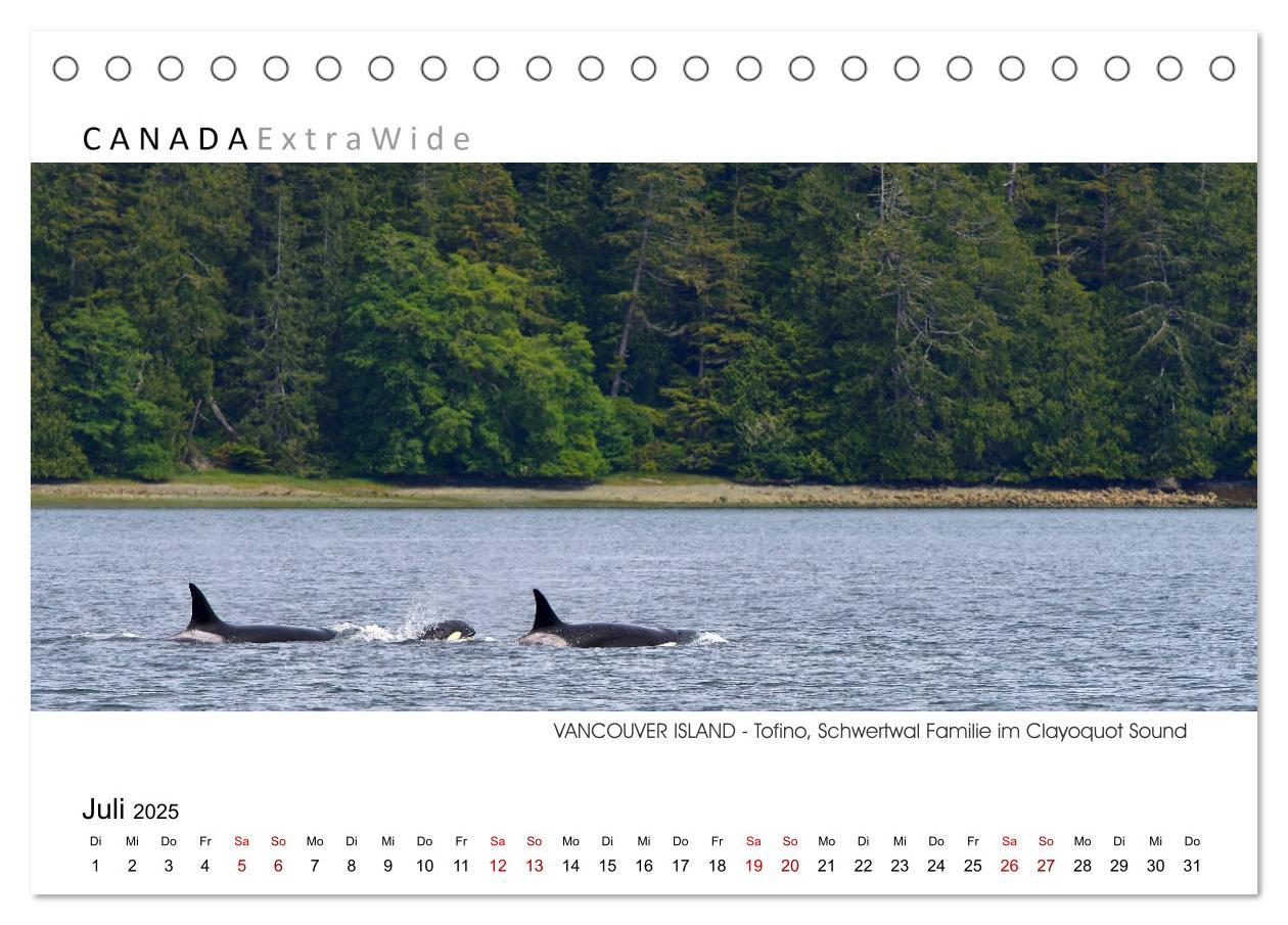 Bild: 9783383791369 | Vancouver Island Panoramabilder (Tischkalender 2025 DIN A5 quer),...