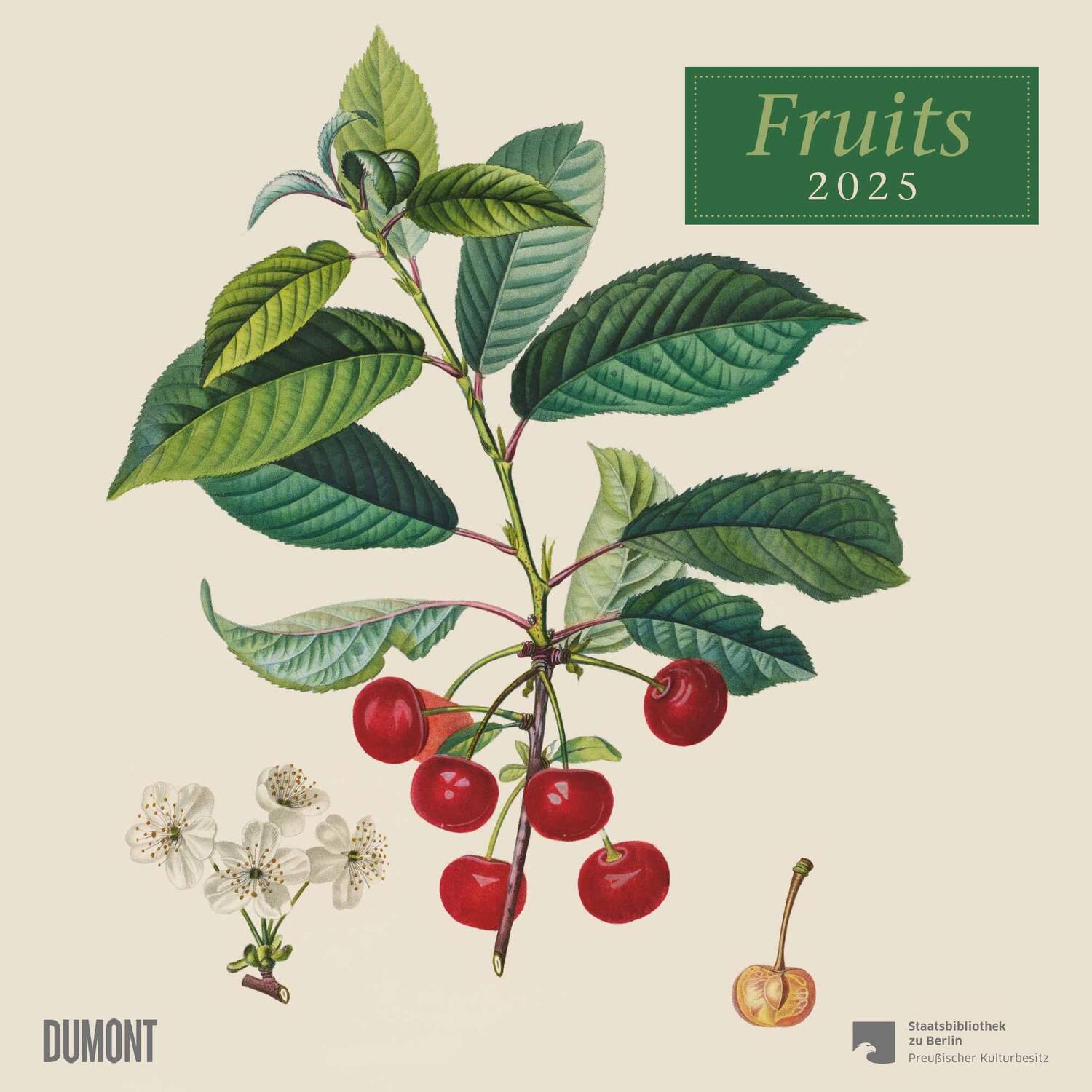 Cover: 4250809652818 | Fruits 2025 ¿ Broschürenkalender ¿ mit historischen Abbildungen...