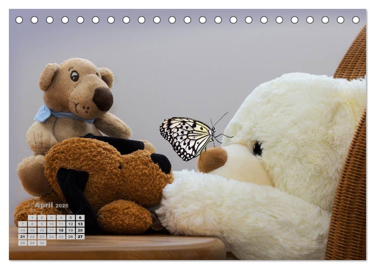 Bild: 9783435501601 | Teddys, wollen wir Kalender anschauen? (Tischkalender 2025 DIN A5...