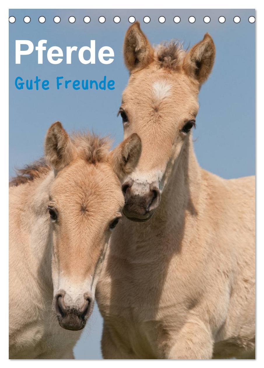 Cover: 9783457030592 | Pferde Gute Freunde (Tischkalender 2025 DIN A5 hoch), CALVENDO...