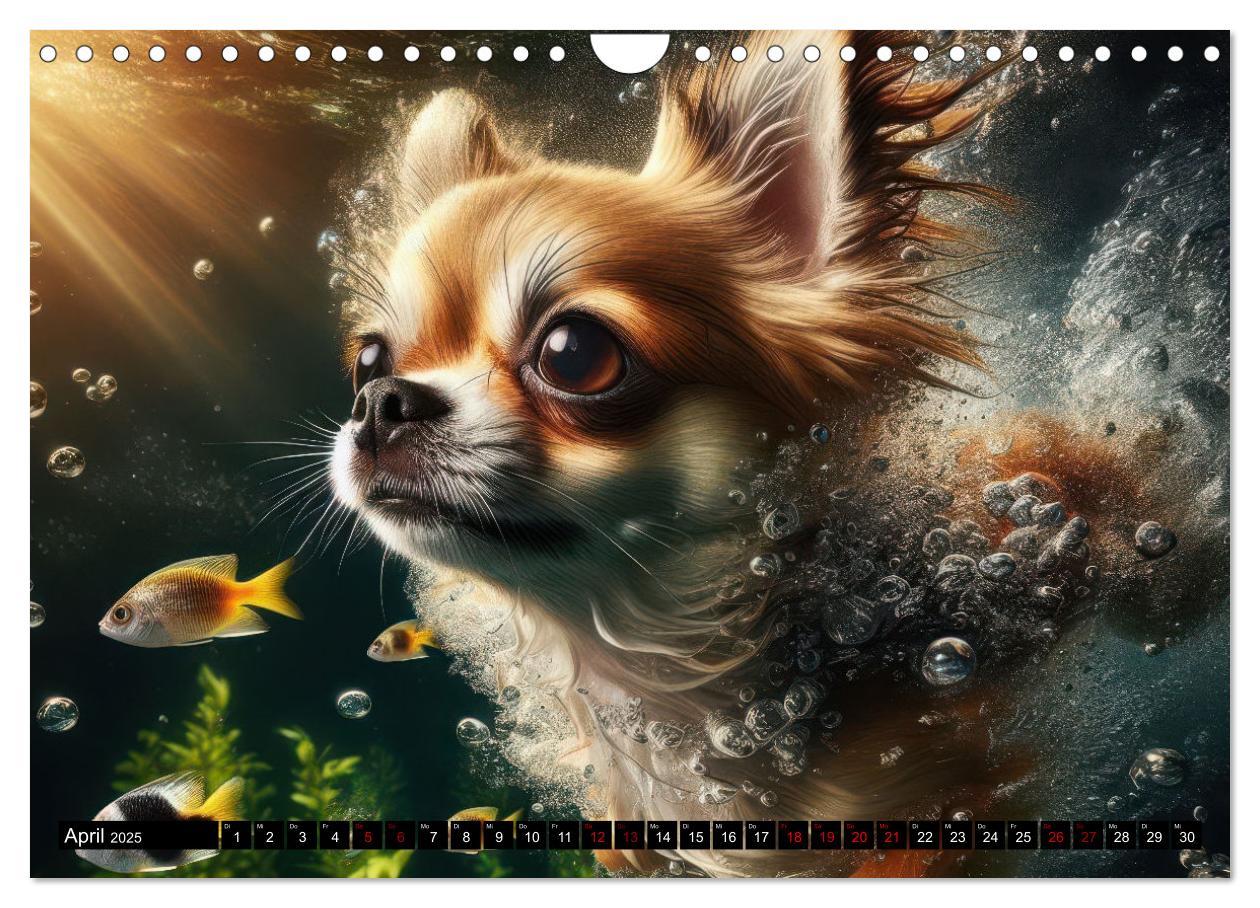 Bild: 9783457150429 | Badespaß - Hunde unter Wasser (Wandkalender 2025 DIN A4 quer),...