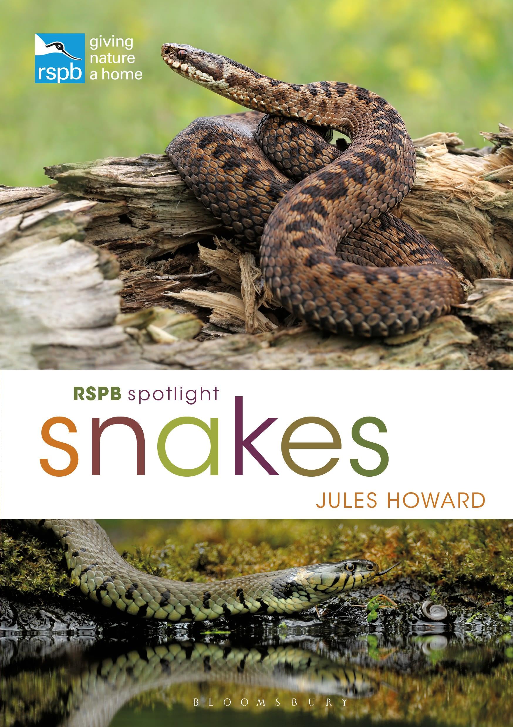 Cover: 9781472971692 | RSPB Spotlight Snakes | Jules Howard | Taschenbuch | Englisch | 2020