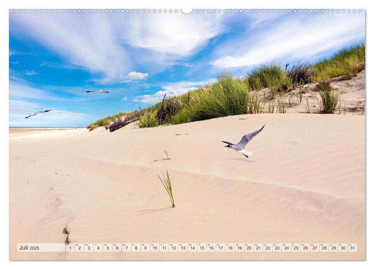 Bild: 9783435067534 | BORKUM-LIEBE (hochwertiger Premium Wandkalender 2025 DIN A2 quer),...