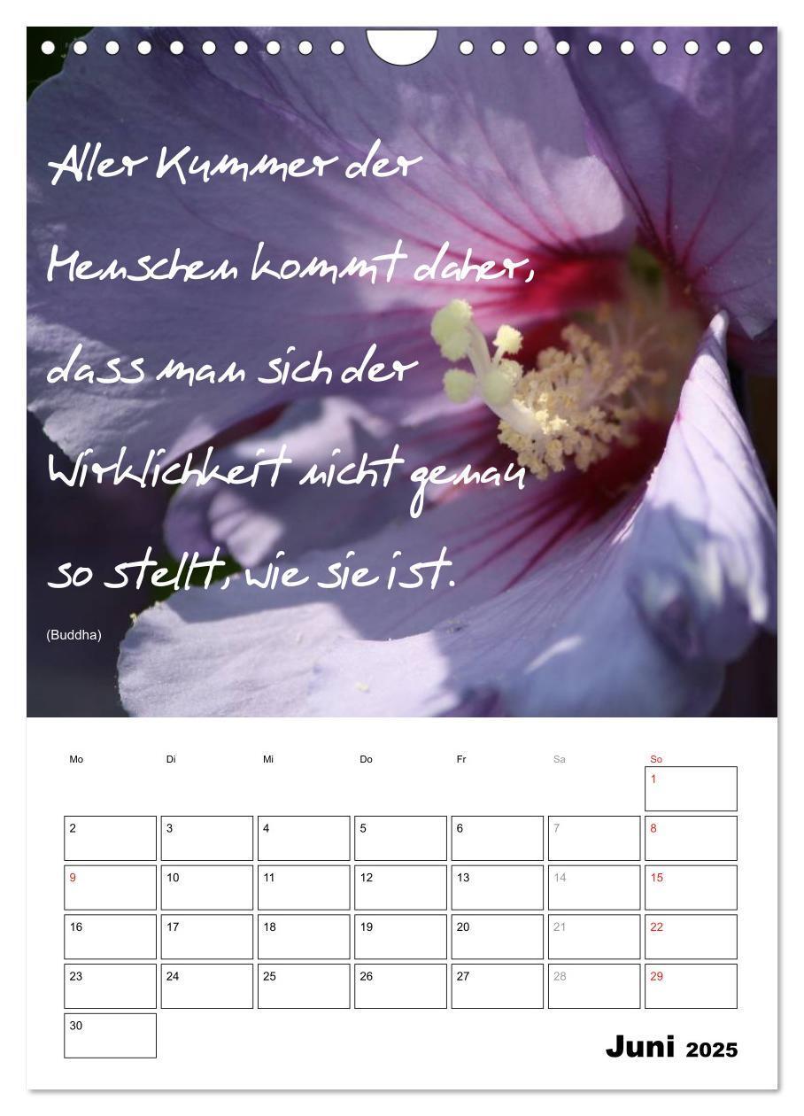 Bild: 9783457090022 | Sprüche und Weisheiten für´ s Jahr (Wandkalender 2025 DIN A4 hoch),...