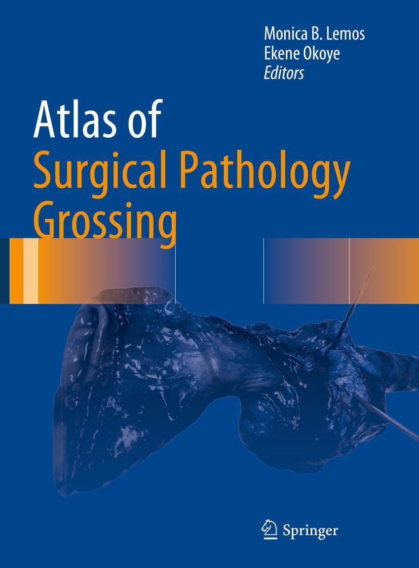 Cover: 9783030208387 | Atlas of Surgical Pathology Grossing | Ekene Okoye (u. a.) | Buch | xv