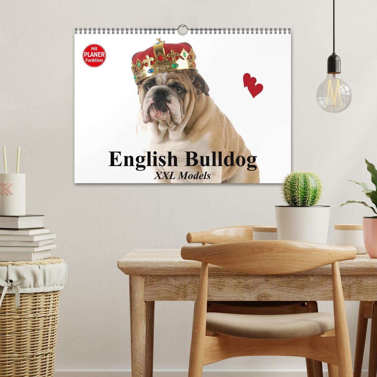 Bild: 9783435539048 | English Bulldog XXL Models (Wandkalender 2025 DIN A3 quer),...