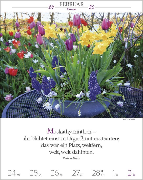 Bild: 9783731879497 | Literaturkalender Gartenlust 2025 | Korsch Verlag | Kalender | 54 S.