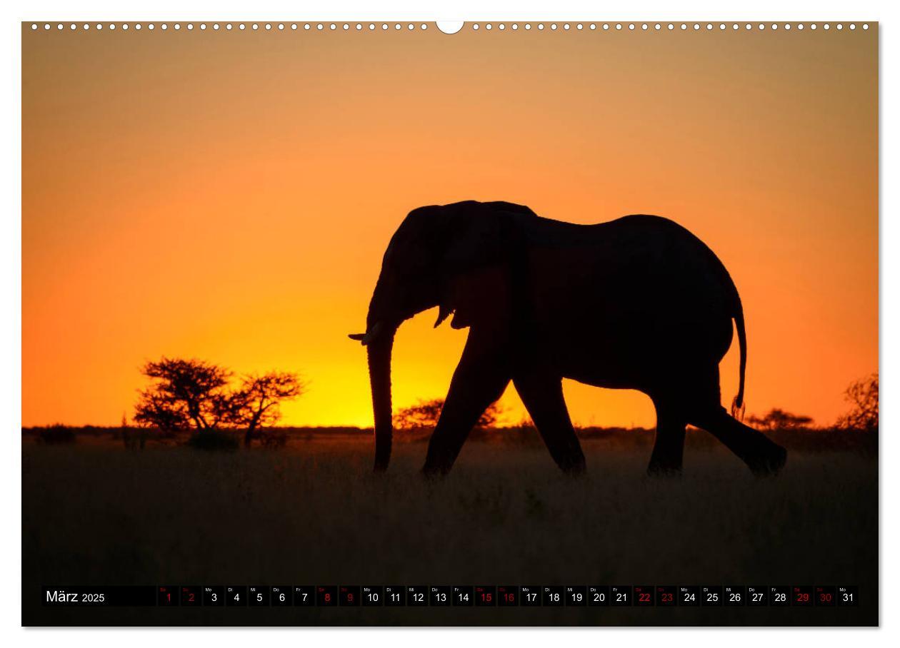 Bild: 9783435447428 | Faszination Botswana (hochwertiger Premium Wandkalender 2025 DIN A2...