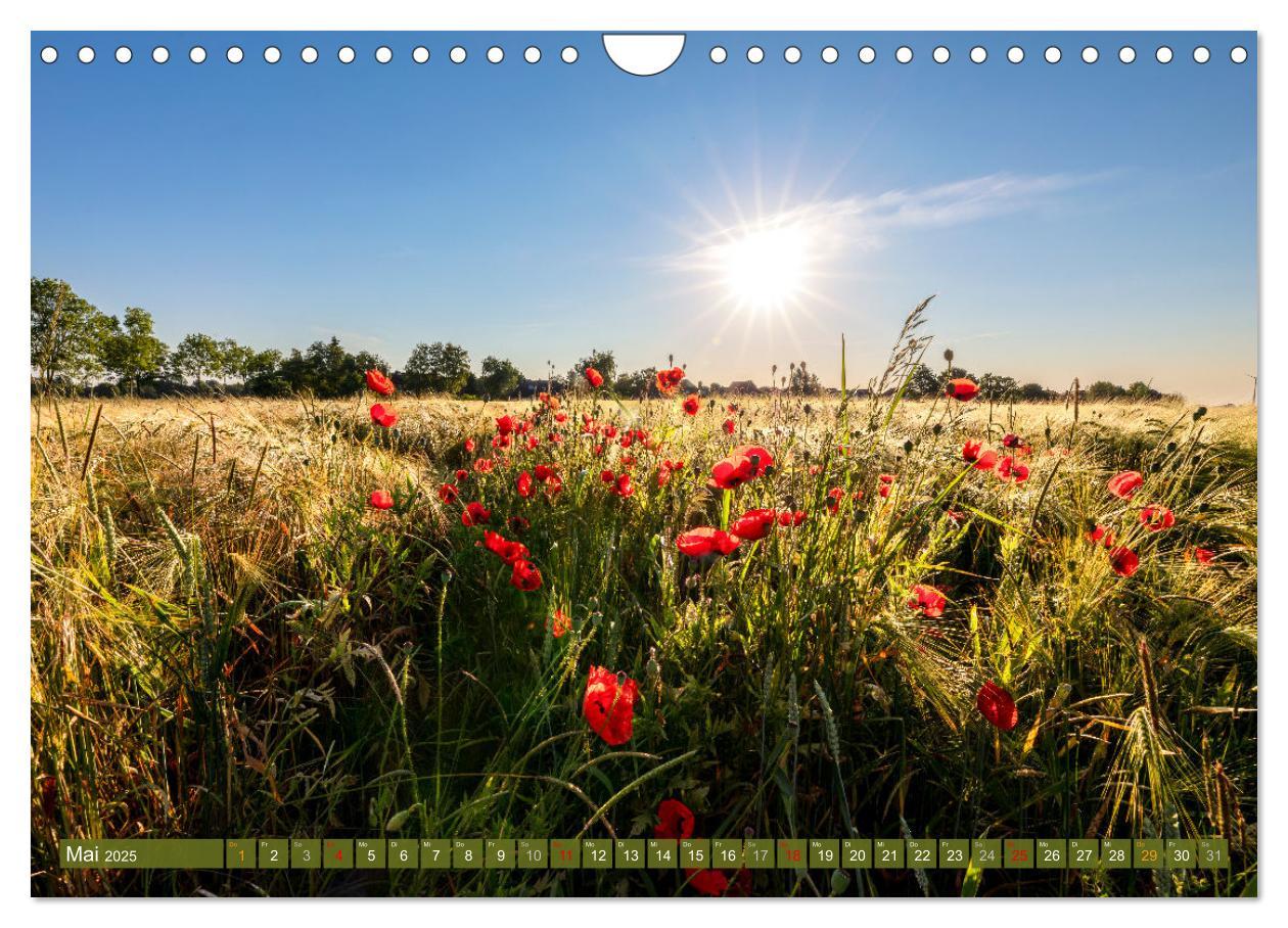 Bild: 9783383777813 | Moin Moormerland (Wandkalender 2025 DIN A4 quer), CALVENDO...