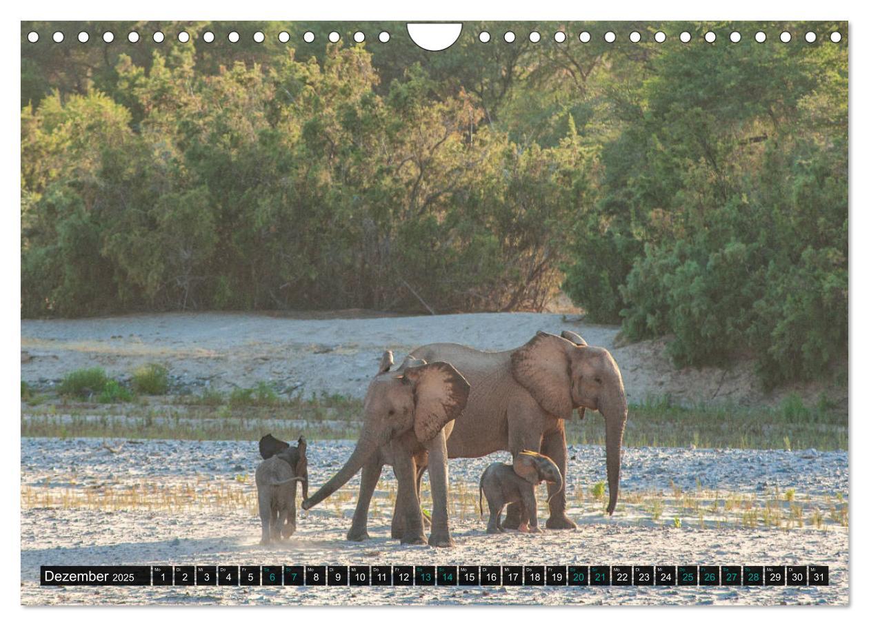 Bild: 9783435110889 | Namibia-Land der Sehnsucht (Wandkalender 2025 DIN A4 quer),...