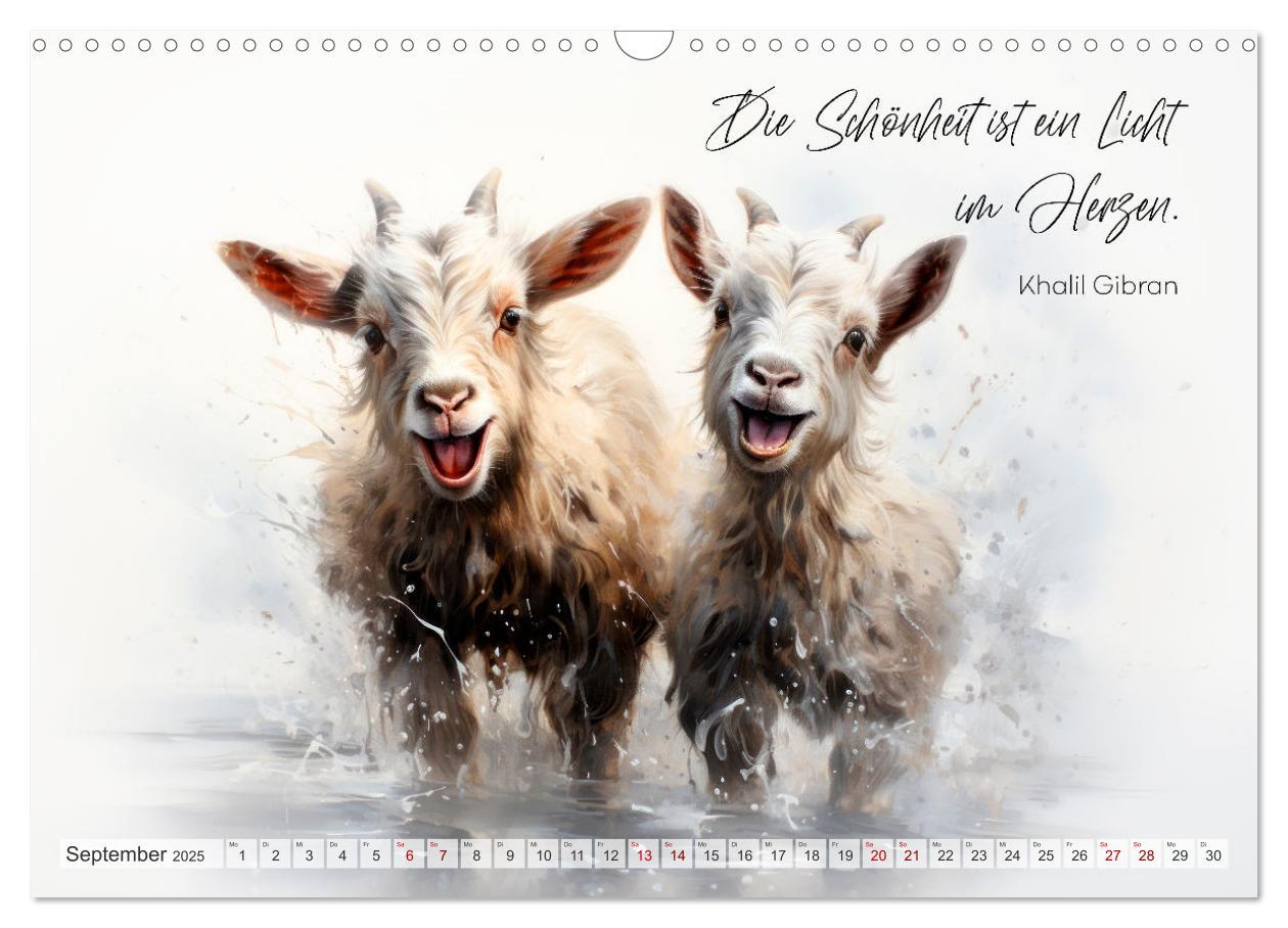 Bild: 9783383857416 | MOTIVATION Sprüche mit süßen Tierkindern (Wandkalender 2025 DIN A3...