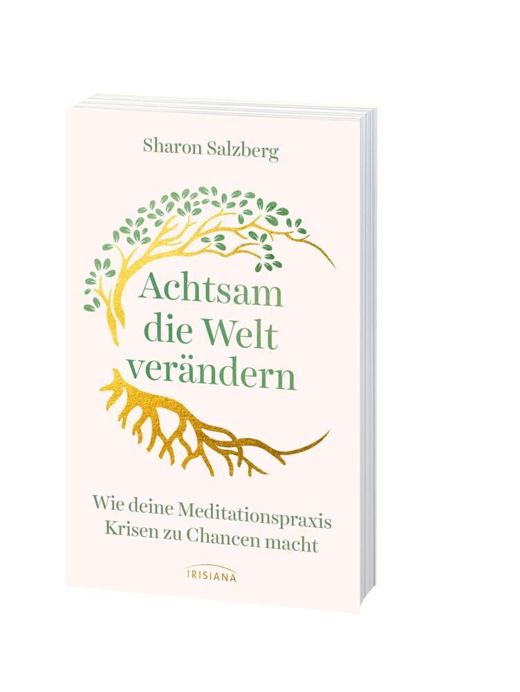 Bild: 9783424154115 | Achtsam die Welt verändern | Sharon Salzberg | Taschenbuch | 288 S.