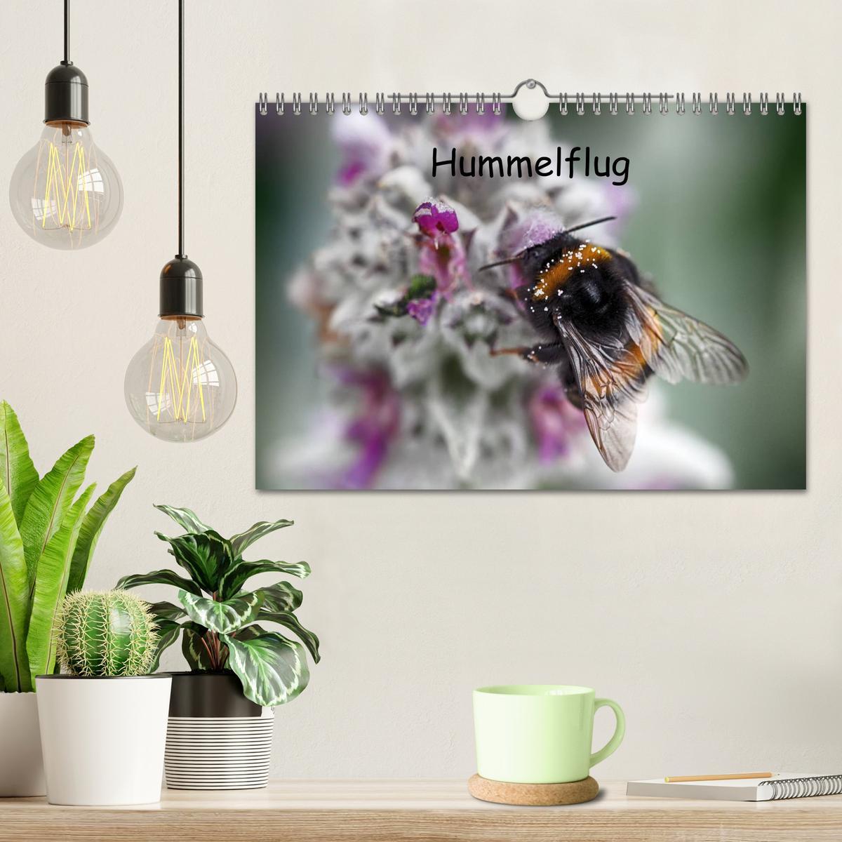 Bild: 9783435703197 | Hummelflug (Wandkalender 2025 DIN A4 quer), CALVENDO Monatskalender