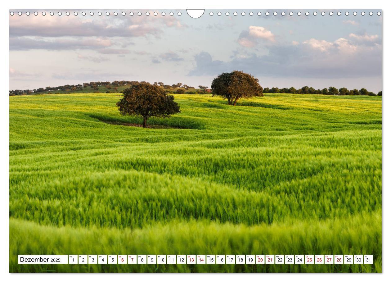 Bild: 9783435117154 | Alentejo - das romantische Portugal (Wandkalender 2025 DIN A3...