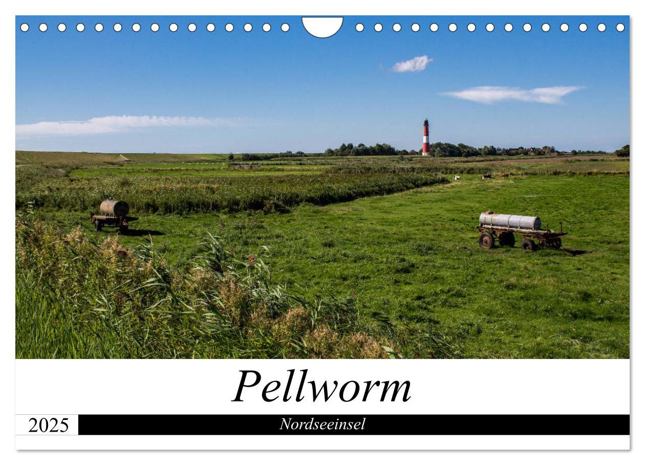 Cover: 9783435358465 | Nordseeinsel Pellworm 2025 (Wandkalender 2025 DIN A4 quer),...