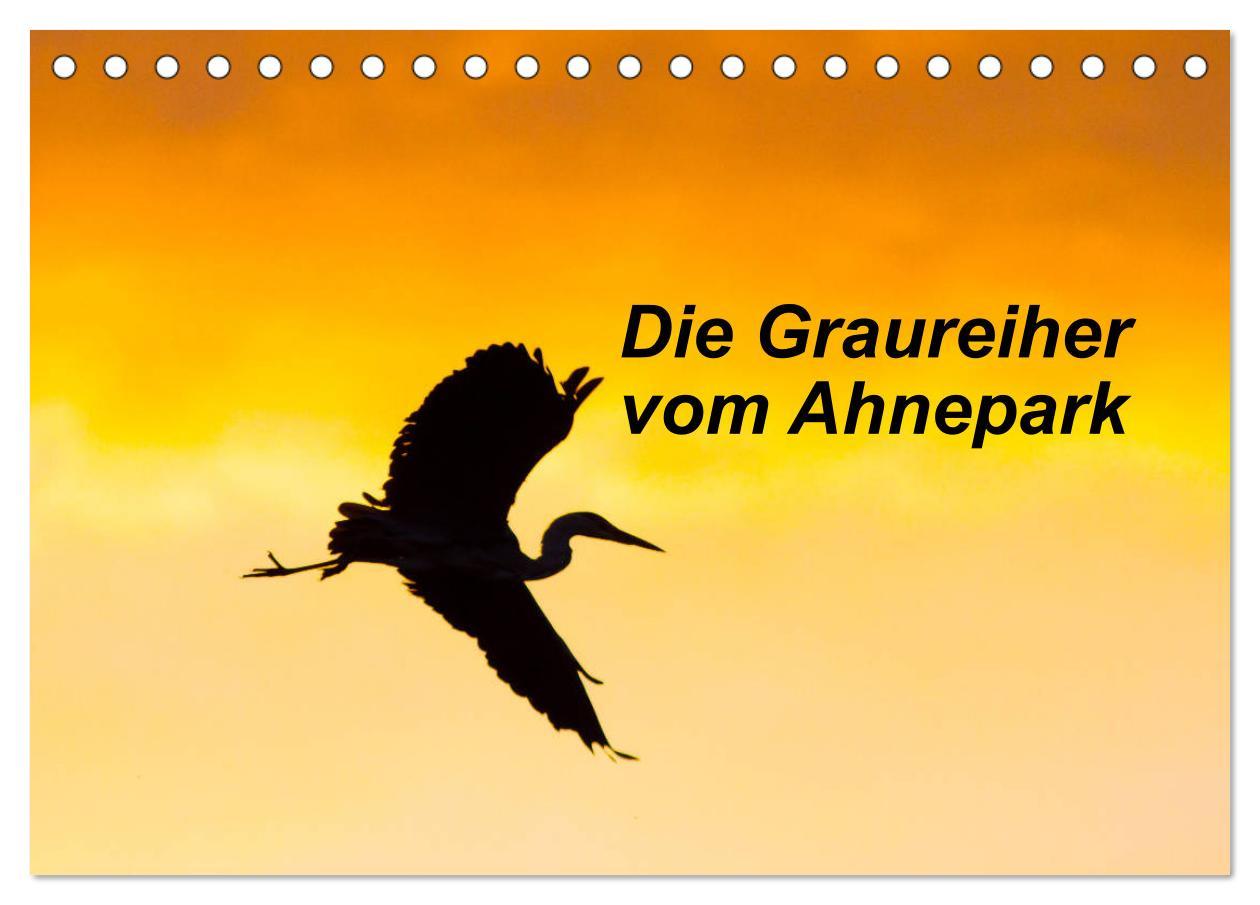 Cover: 9783435175451 | Die Graureiher vom Ahnepark (Tischkalender 2025 DIN A5 quer),...