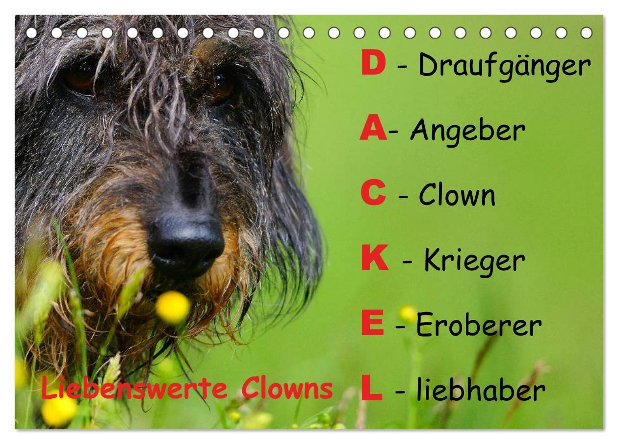 Cover: 9783435597178 | Liebenswerte Clowns (Tischkalender 2025 DIN A5 quer), CALVENDO...