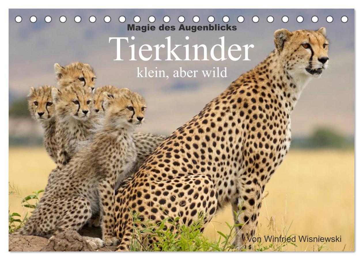 Cover: 9783435756506 | Magie des Augenblicks - Tierkinder - klein, aber wild...