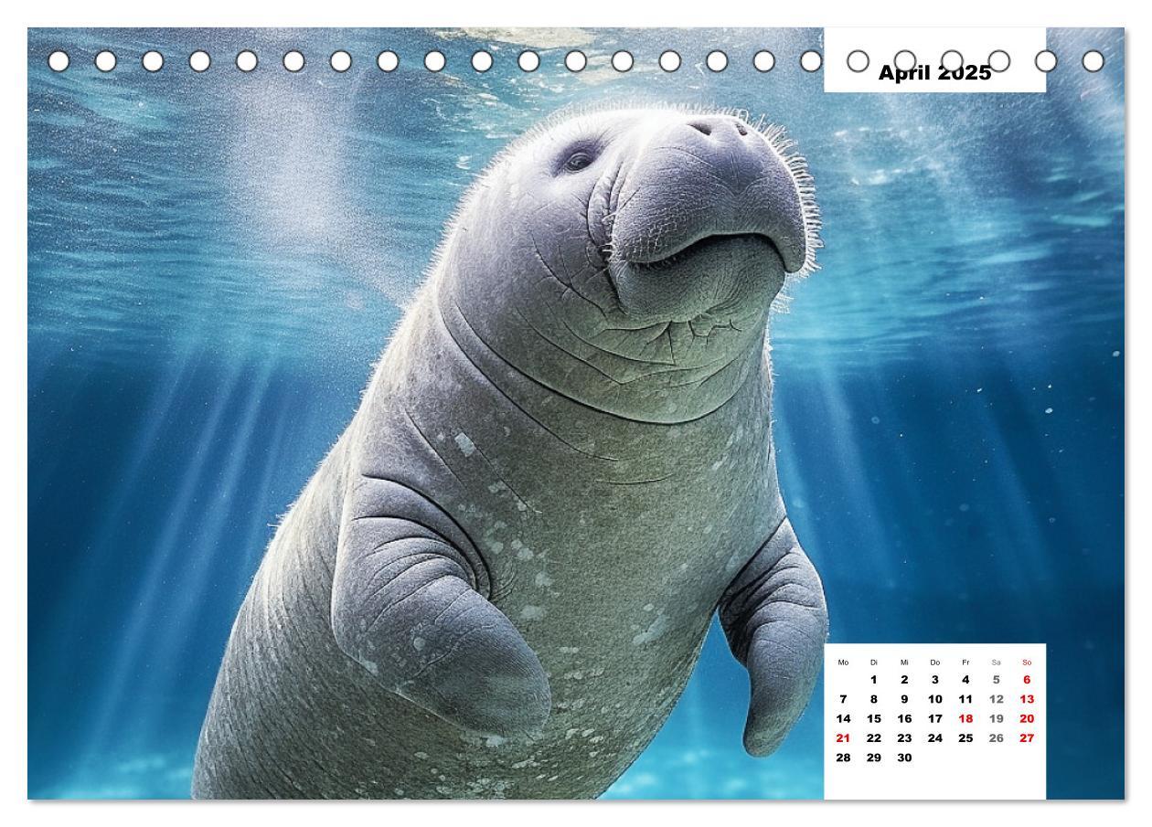 Bild: 9783383893902 | Manatees. Faszinierende Rundschwanzseekühe (Tischkalender 2025 DIN...