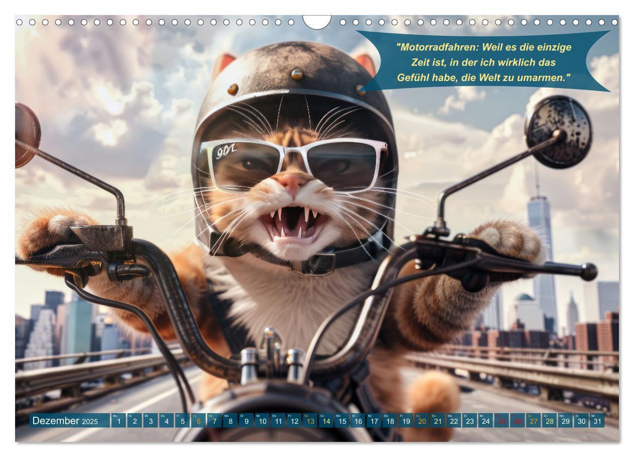 Bild: 9783457166055 | Tierisch lustige Motorradfahrer (Wandkalender 2025 DIN A3 quer),...