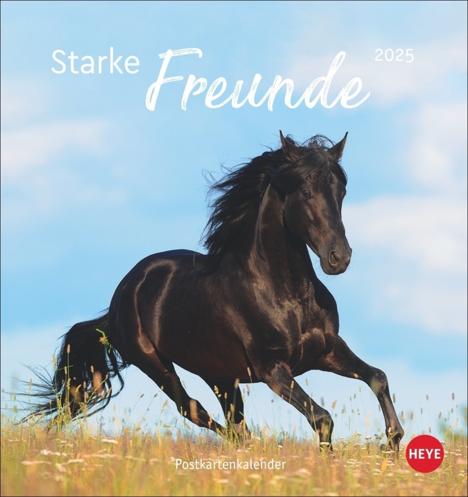 Cover: 9783756407040 | Pferde Postkartenkalender 2025 - Starke Freunde | Sabine Stuewer