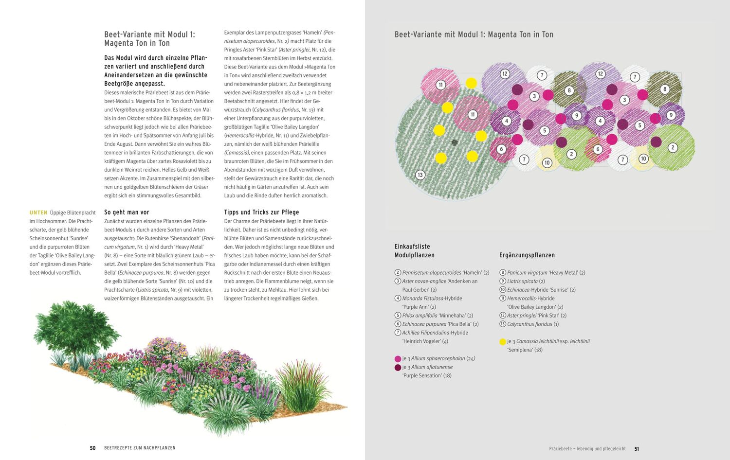 Bild: 9783833855801 | Einfach schöne Beete! | Christine Breier | Buch | Gartengestaltung