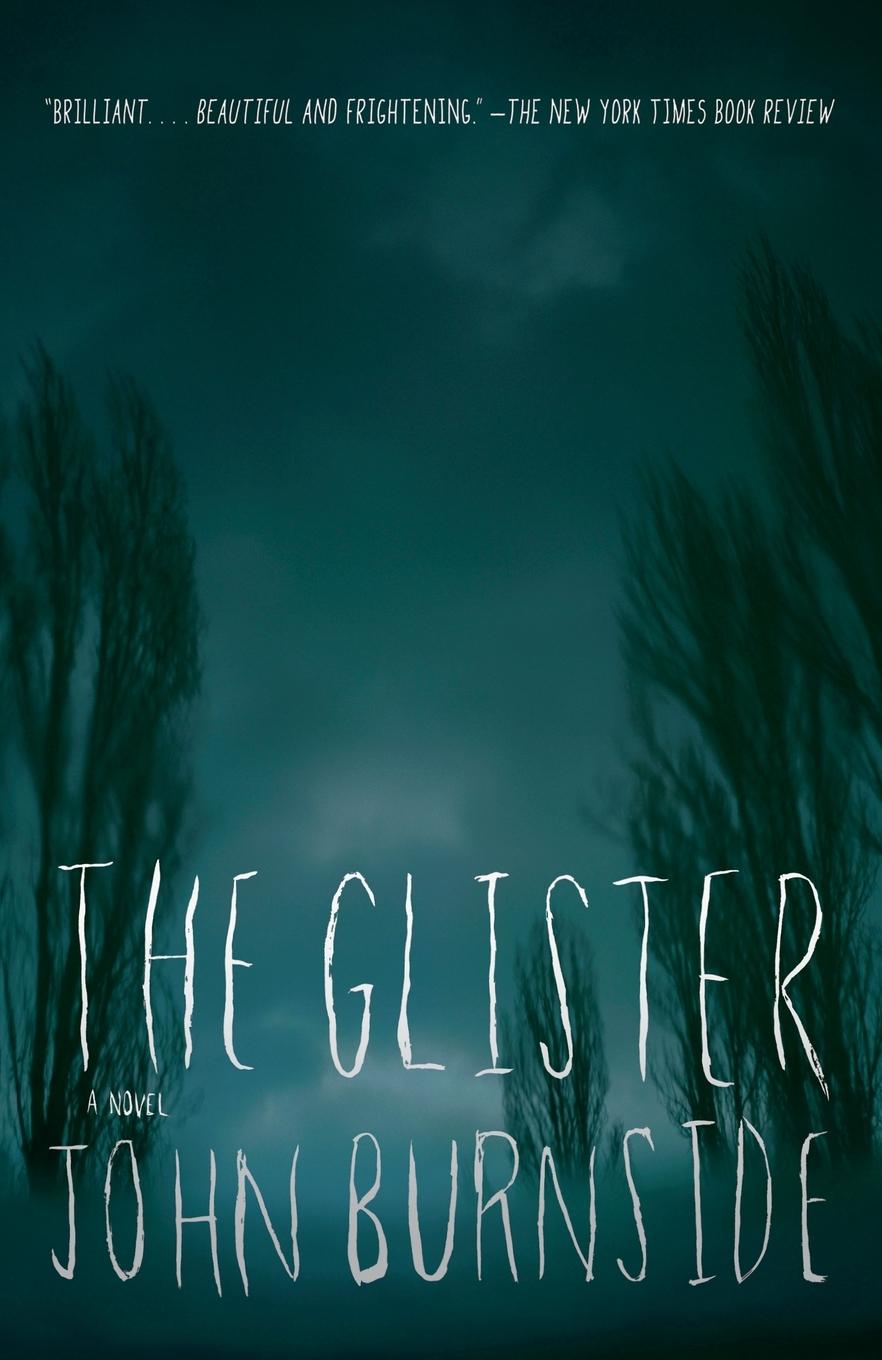 Cover: 9780307455338 | The Glister | John Burnside | Taschenbuch | Einband - flex.(Paperback)