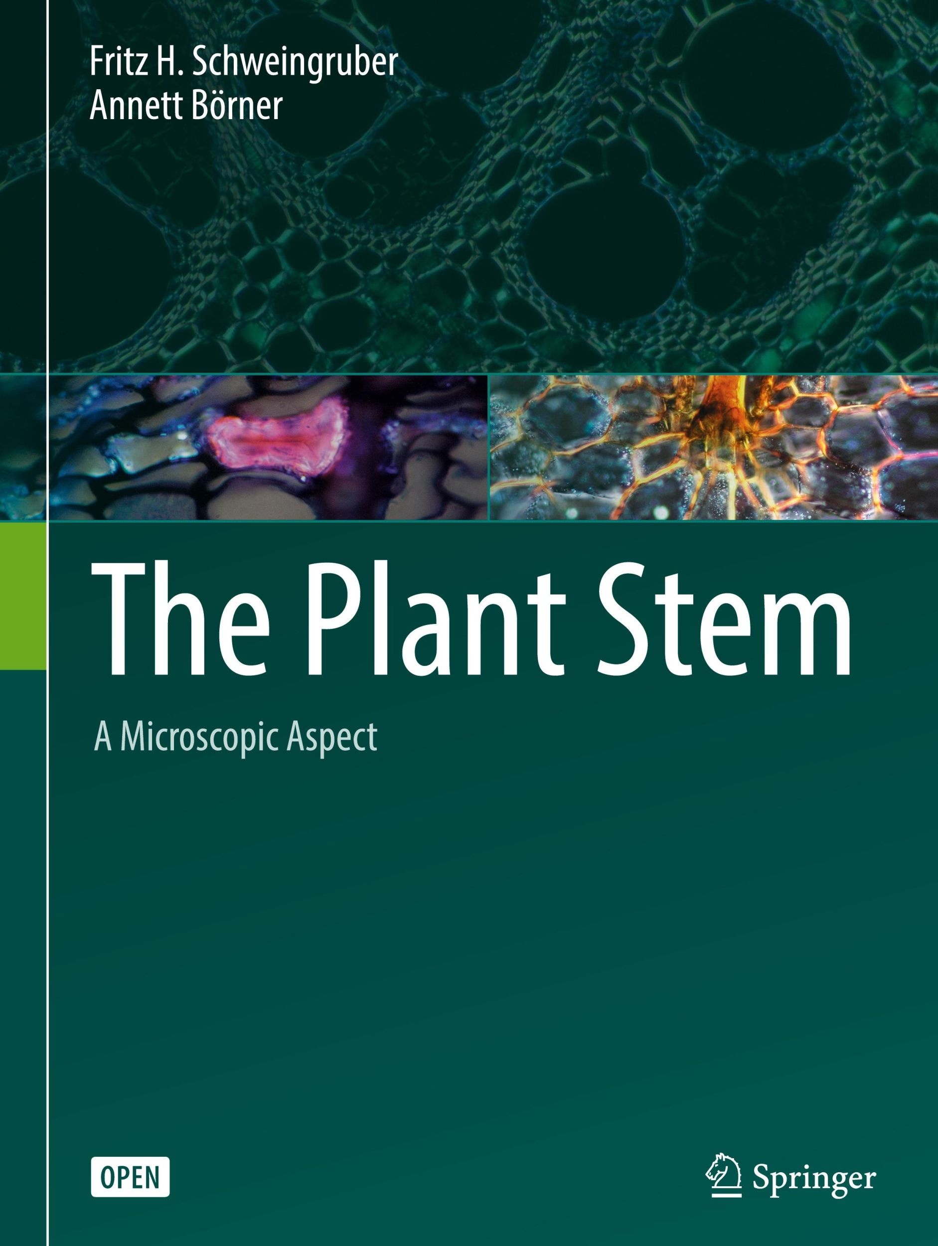 Cover: 9783319735238 | The Plant Stem | A Microscopic Aspect | Annett Börner (u. a.) | Buch