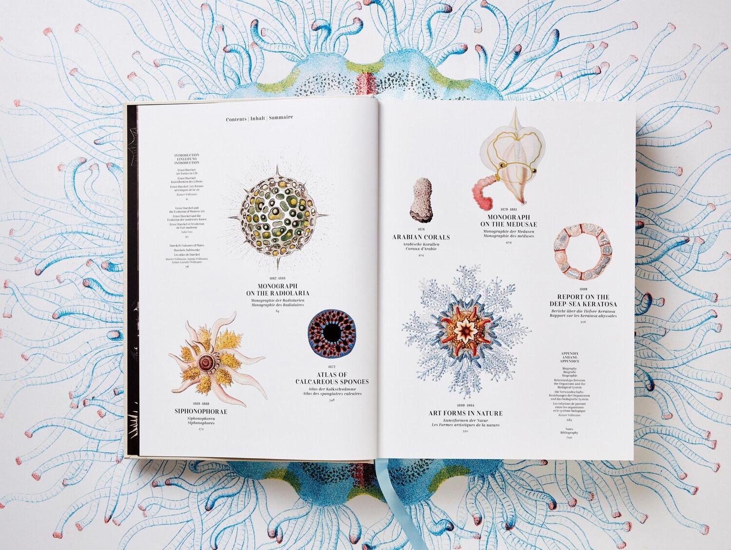 Bild: 9783836526463 | The Art and Science of Ernst Haeckel | Julia Voss (u. a.) | Buch