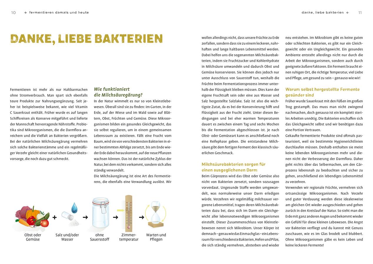 Bild: 9783818620684 | Fermentier' doch mal! | Stefanie Horn | Taschenbuch | 128 S. | Deutsch