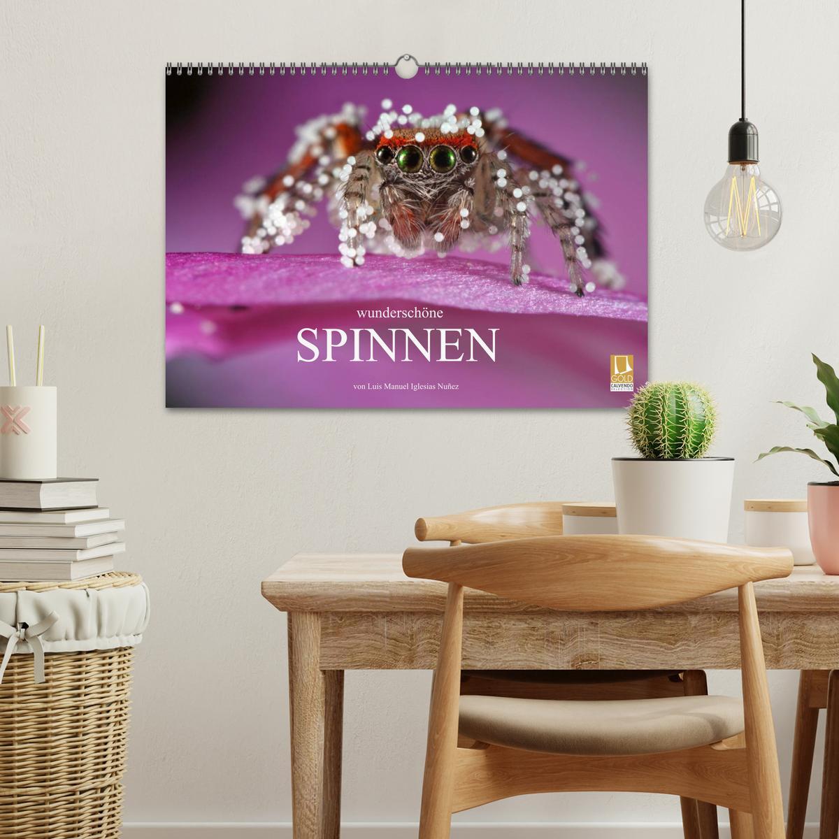 Bild: 9783435808069 | Wunderschöne Spinnen (Wandkalender 2025 DIN A3 quer), CALVENDO...