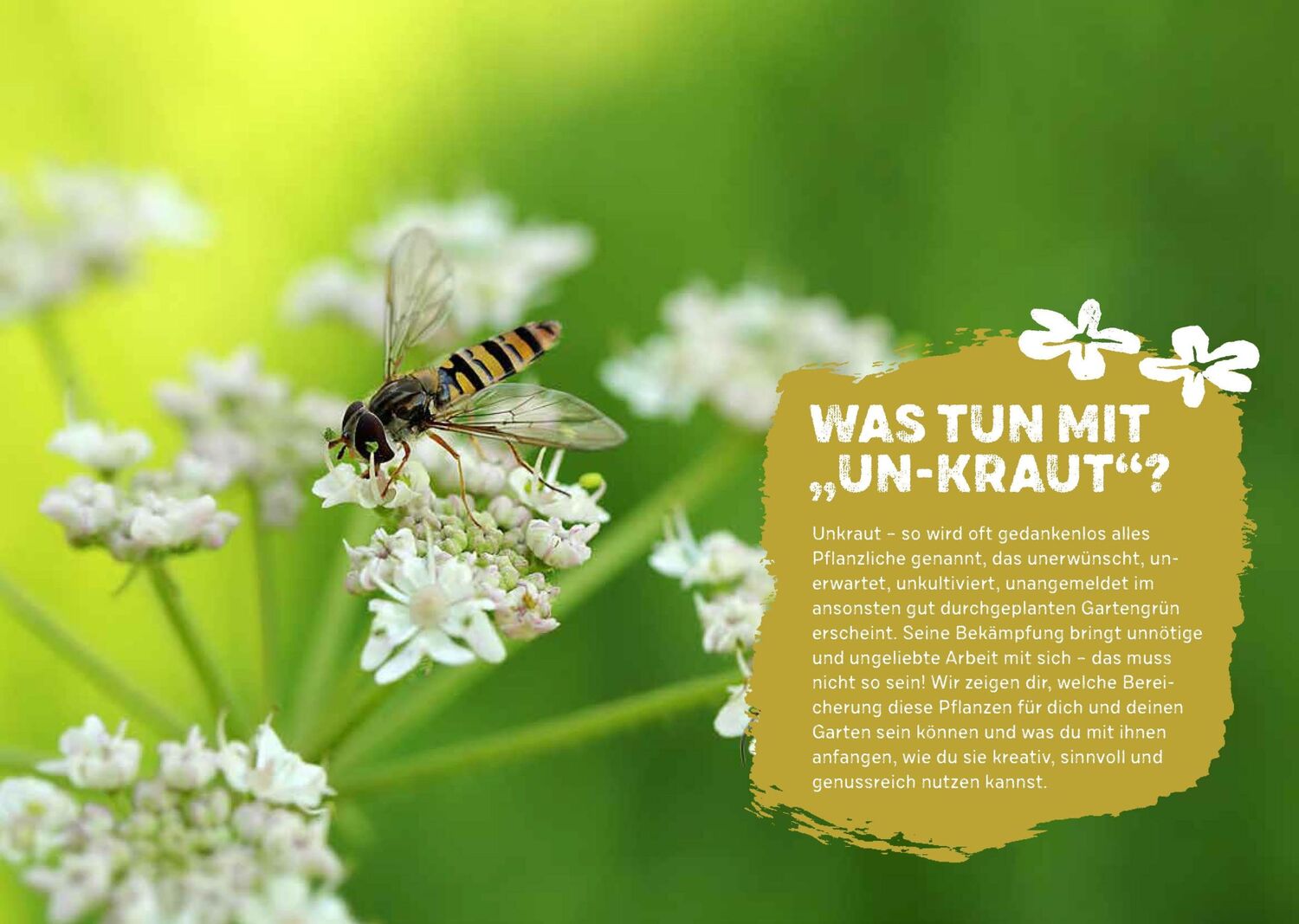 Bild: 9783818615048 | Gartenabfall gibt's nicht | Renate Hudak (u. a.) | Taschenbuch | 2022