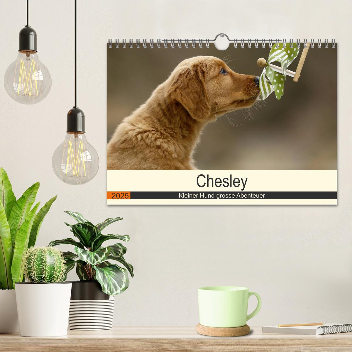 Bild: 9783435307791 | Chesley Kleiner Hund grosse Abenteuer (Wandkalender 2025 DIN A4...