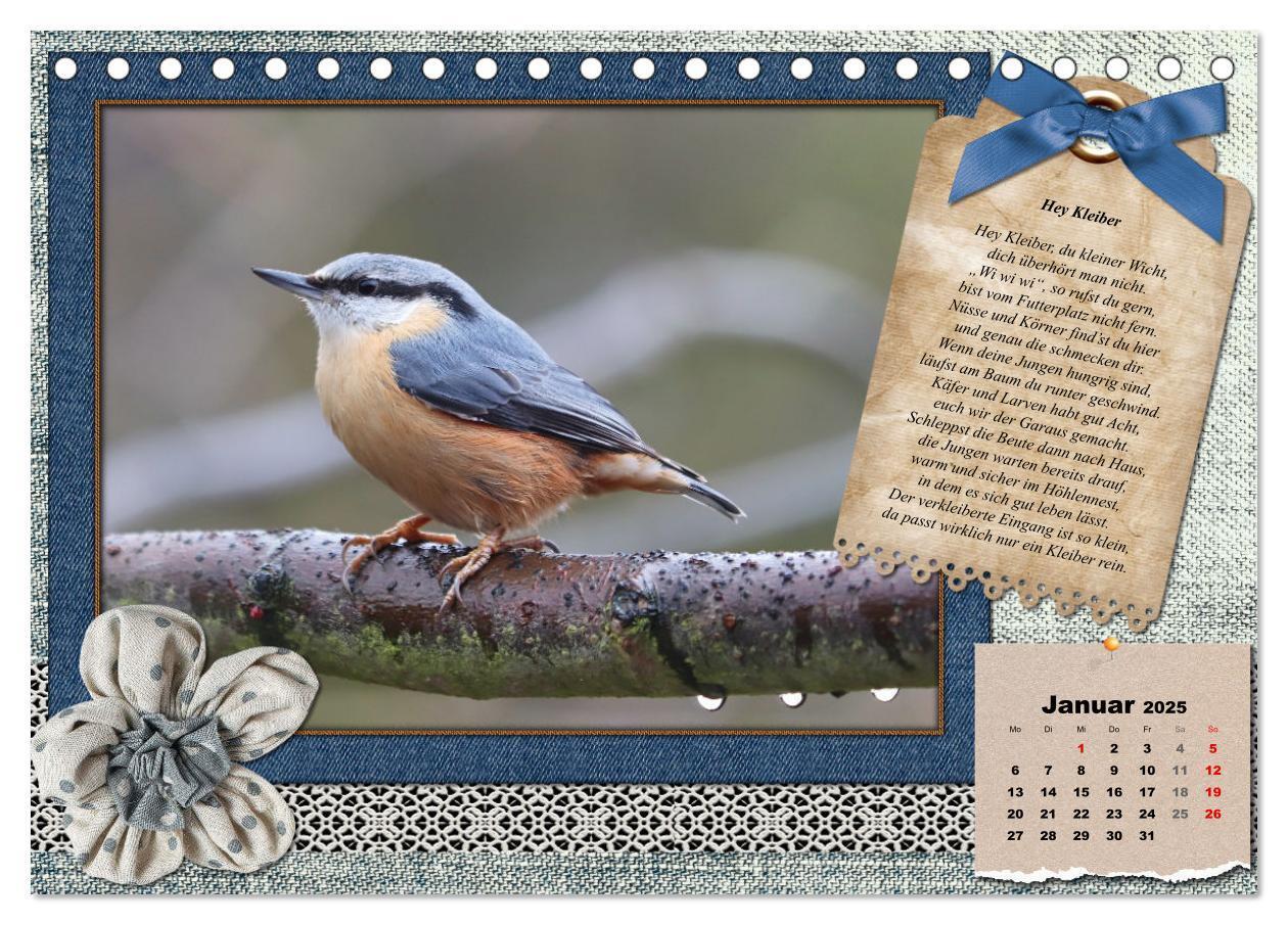 Bild: 9783435081905 | Der poetische Vogelkalender (Tischkalender 2025 DIN A5 quer),...