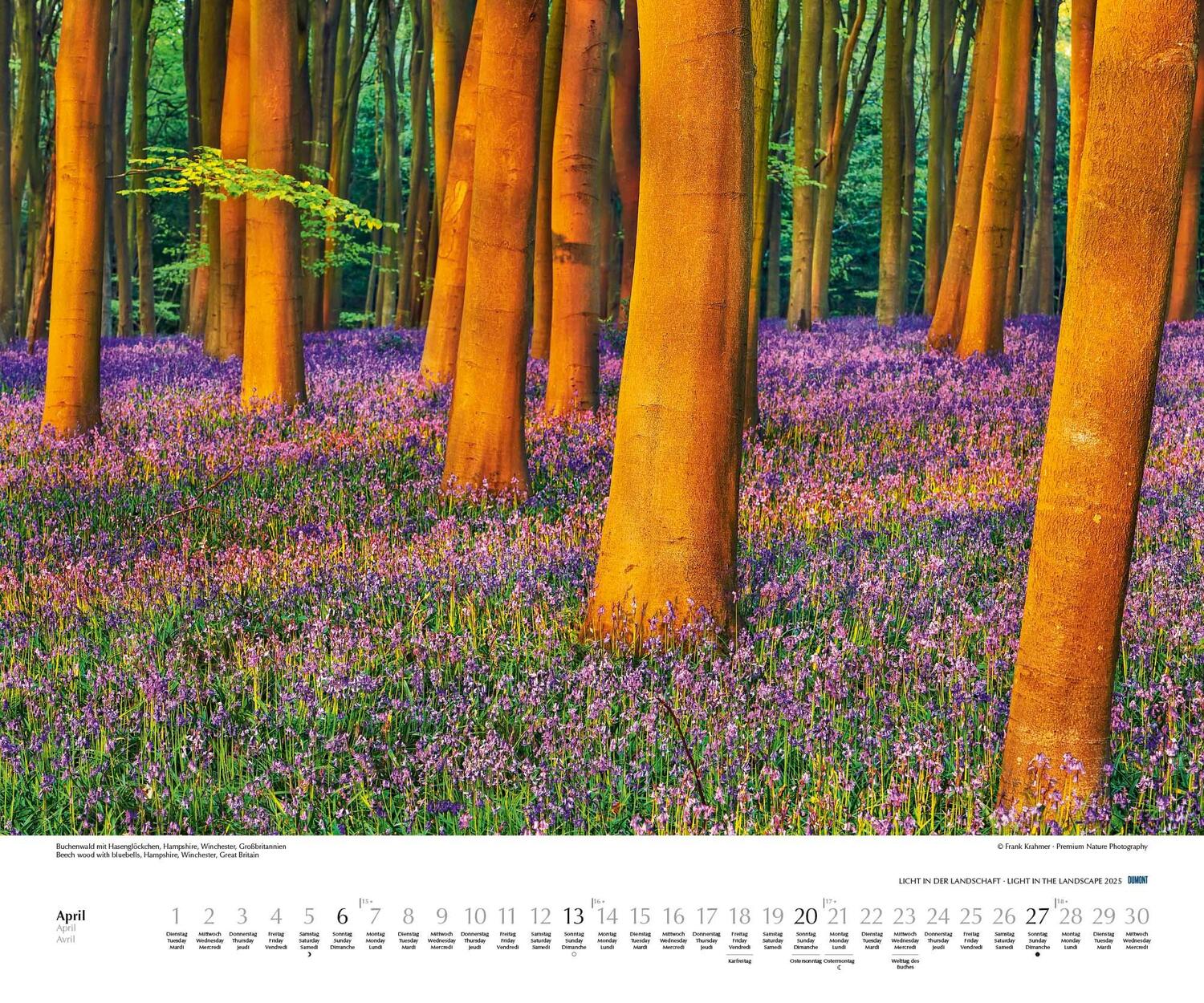 Bild: 4250809652757 | Licht in der Landschaft 2025 - Wandkalender 60,0 x 50,0 cm -...