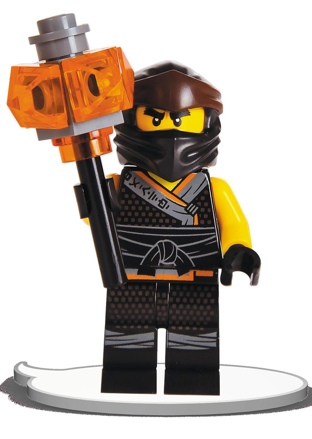 Bild: 9783960807247 | LEGO® NINJAGO® - Ein heldenhaftes Team | Taschenbuch | LEGO® Ninjago