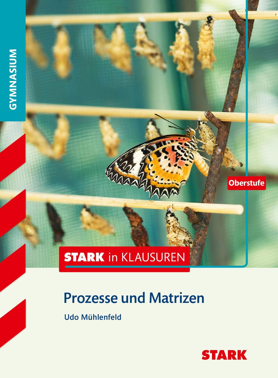 Cover: 9783849021177 | Stark in Mathematik - Prozesse und Matrizen Oberstufe | Taschenbuch