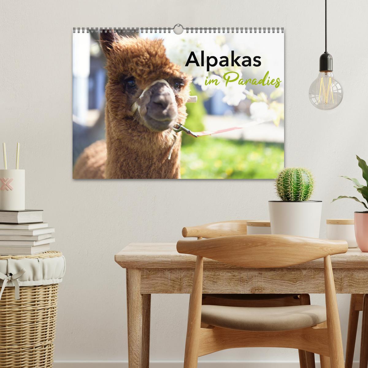 Bild: 9783457218693 | Alpakas im Paradies (Wandkalender 2025 DIN A3 quer), CALVENDO...