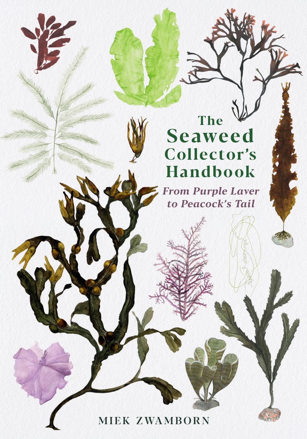 Cover: 9781788165471 | The Seaweed Collector's Handbook | From Purple Laver to Peacock's Tail