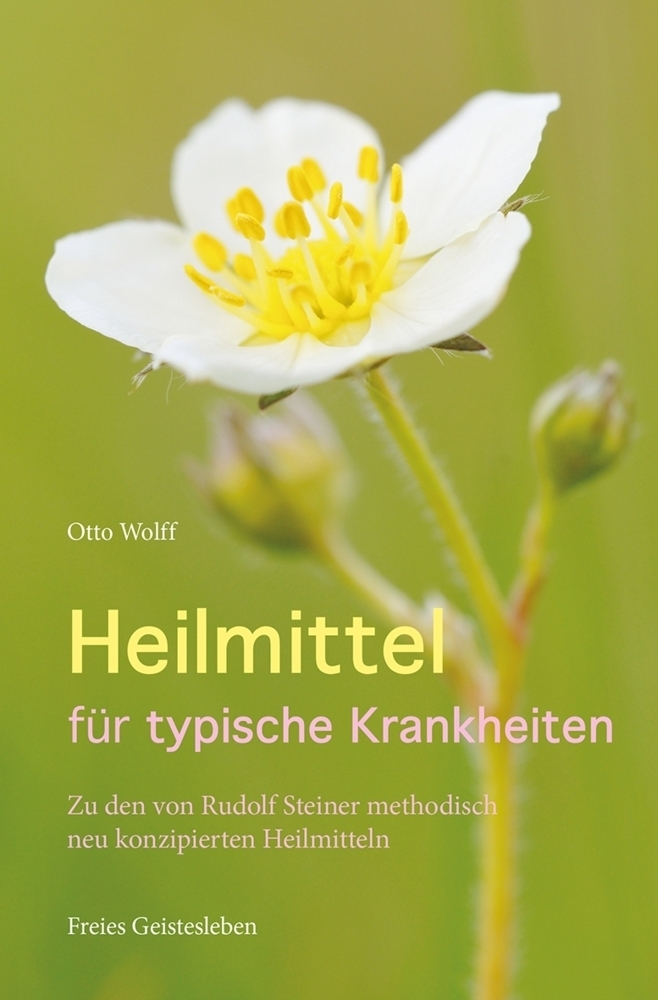 Cover: 9783772512803 | Heilmittel für typische Krankheiten | Otto Wolff | Taschenbuch | 2013