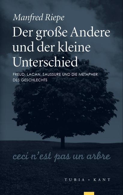 Cover: 9783851327168 | Der große Andere und der kleine Unterschied | Manfred Riepe | Buch